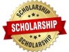 scholarship 2019 badge